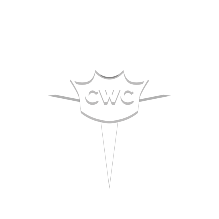 2023 CWC éč¦ē„ēę - å°ē£åŗē£ę婦儳ę